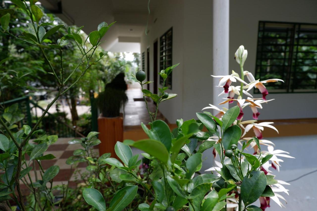 Homestay Wind Valley