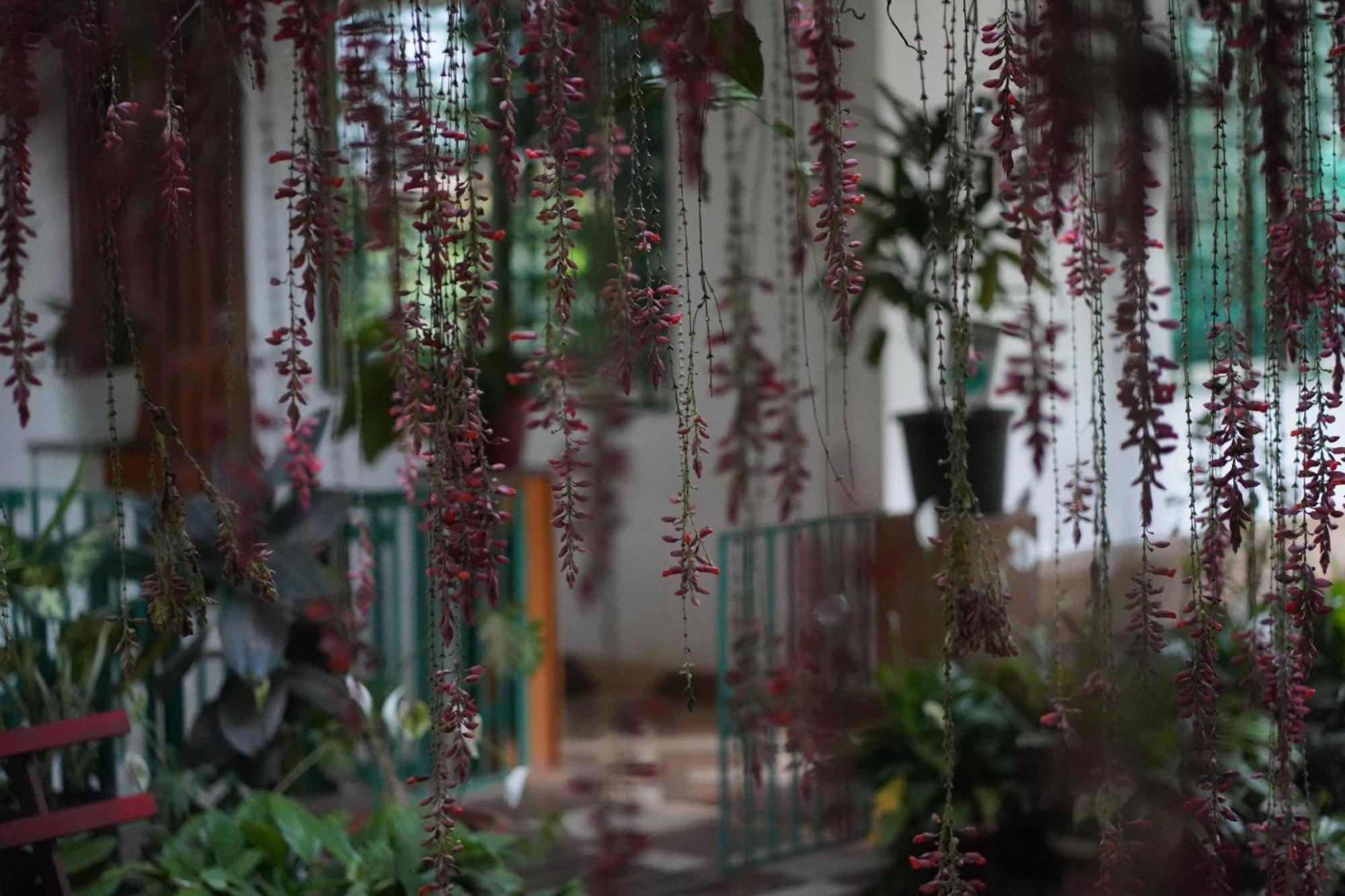 Wind Valley Homestay *