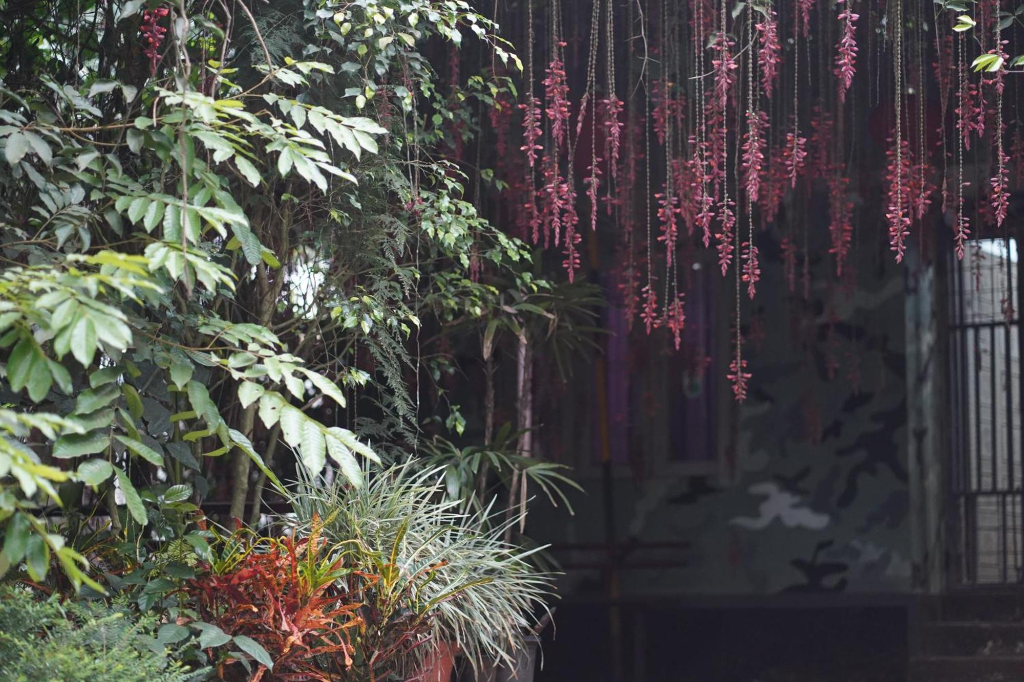 Wind Valley Homestay Ramakkalmedu